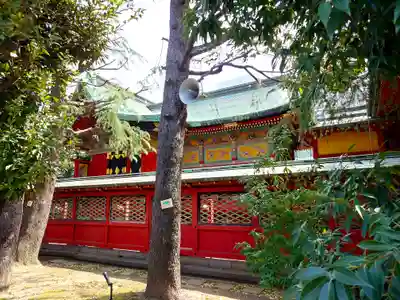 浅草神社の本殿・本堂