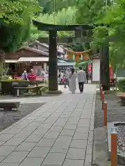 白川吉見神社(熊本県)