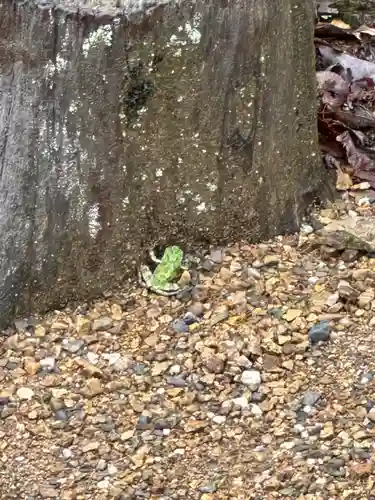 出雲大社北島国造館 出雲教(島根県)