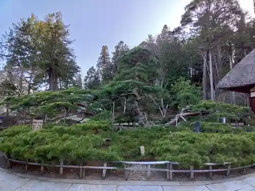 常楽寺(長野県)