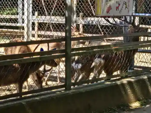 鹿島神宮(茨城県)