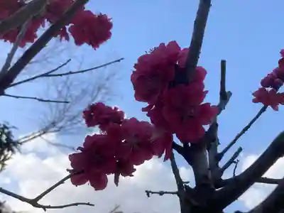 来迎寺（西御門）(神奈川県)