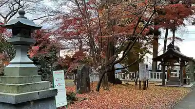 陸奥総社宮(宮城県)