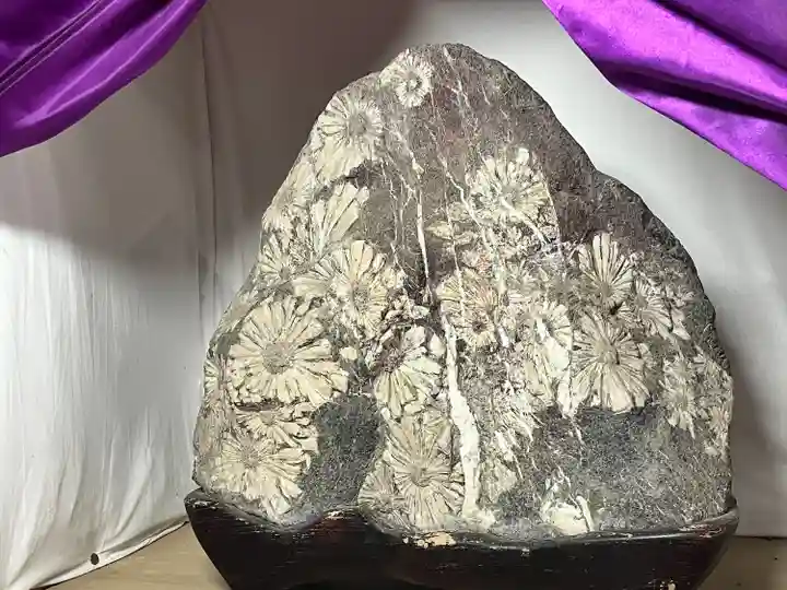 建部大社(滋賀県)