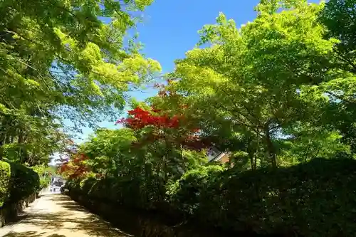 壇上伽藍の建物その他