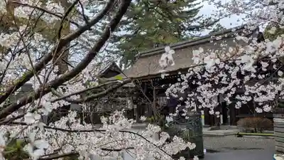 建部大社(滋賀県)
