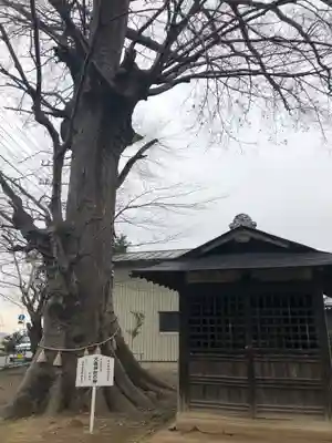 大桑神社の末社・摂社