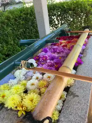 伊和志津神社の手水舎