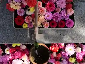 高司神社〜むすびの神の鎮まる社〜(福島県)(2023年10月29日(日) 14時56分47秒投稿)