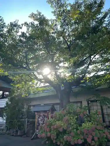 廣田神社～病厄除守護神～の庭園