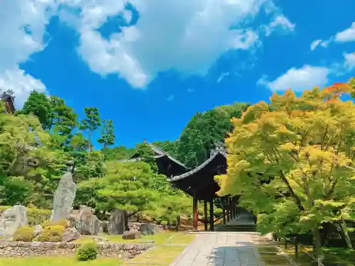 東福禅寺（東福寺）の{uncategorized: "未分類", other: "その他", undefined: "問題あり", building: "その他建物", grave: "お墓", sacred_gate: "鳥居", guardian: "狛犬", statue: "像", buddha: "仏像", history: "歴史", nature: "自然", garden: "庭園", animal: "動物", pagoda: "塔", temizu: "手水舎", mountain_gate: "山門・神門", sanctuary: "本殿・本堂", subordinate: "末社・摂社", art: "芸術", scenery: "景色", jizo: "地蔵", ema: "絵馬", goshuin: "御朱印", omikuji: "おみくじ", items: "授与品その他", amulet: "お守り", goshuincho: "御朱印帳", eats: "食事", festival: "お祭り", votive_dance: "神楽", shichigosan: "七五三参", wedding: "結婚式", experience: "体験その他", initially: "初詣", around: "周辺", anti_infection: "感染症対策"}