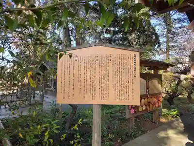 白岡八幡神社(埼玉県)