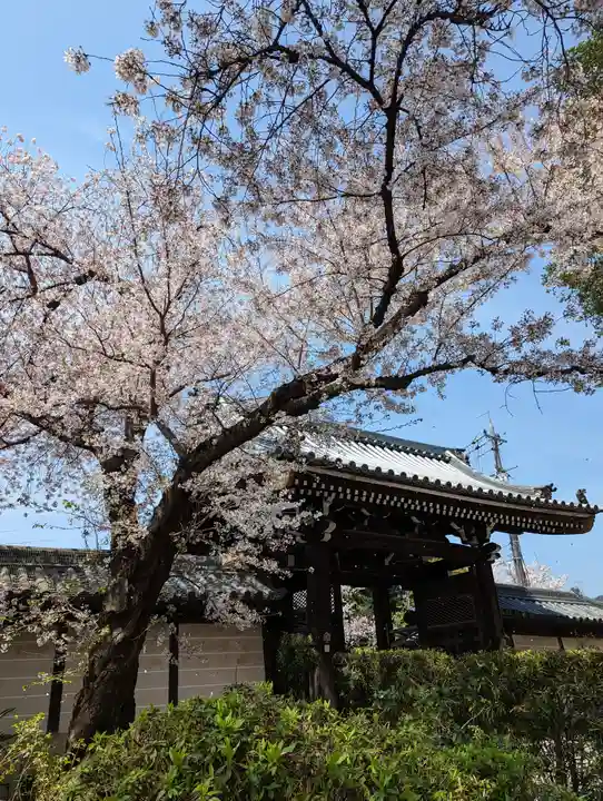 本願寺山科別院(京都府)