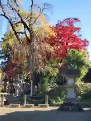 神炊館神社 ⁂奥州須賀川総鎮守⁂(福島県)