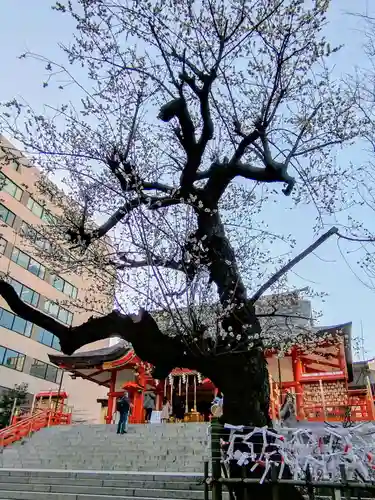 花園神社(東京都)