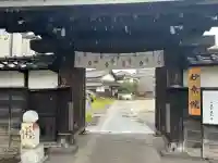 四季桜の寺 妙乗院(愛知県)