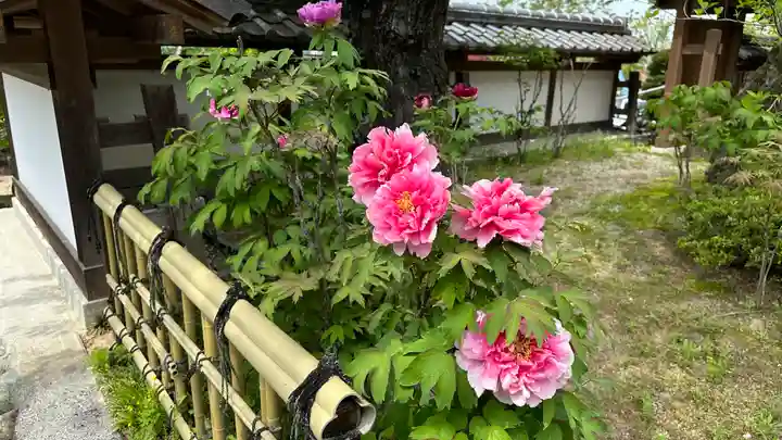 圓融寺(埼玉県)