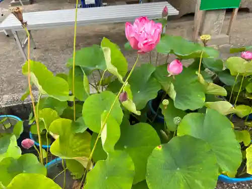 雲龍山 本證寺(愛知県)