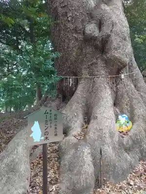 五所八幡宮(福岡県)