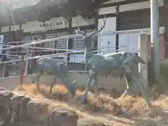 鹿嶋神社の像