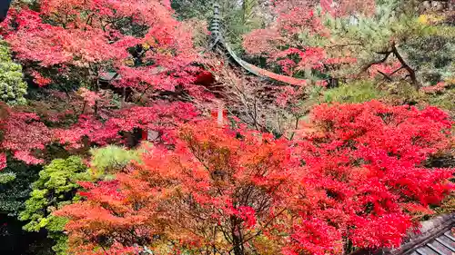 毘沙門堂門跡(京都府)