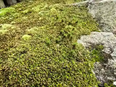 慈照寺（慈照禅寺・銀閣寺）(京都府)