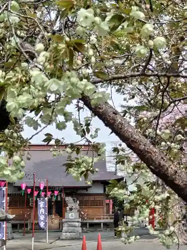 相模原氷川神社(神奈川県)