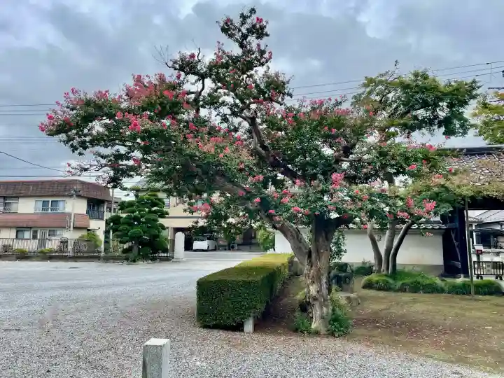 光了寺(茨城県)