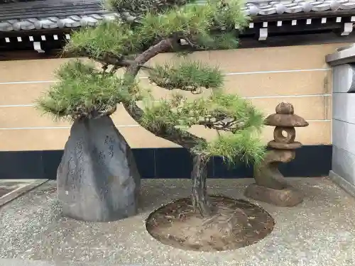 中田寺の{uncategorized: "未分類", other: "その他", undefined: "問題あり", building: "その他建物", grave: "お墓", sacred_gate: "鳥居", guardian: "狛犬", statue: "像", buddha: "仏像", history: "歴史", nature: "自然", garden: "庭園", animal: "動物", pagoda: "塔", temizu: "手水舎", mountain_gate: "山門・神門", sanctuary: "本殿・本堂", subordinate: "末社・摂社", art: "芸術", scenery: "景色", jizo: "地蔵", ema: "絵馬", goshuin: "御朱印", omikuji: "おみくじ", items: "授与品その他", amulet: "お守り", goshuincho: "御朱印帳", eats: "食事", festival: "お祭り", votive_dance: "神楽", shichigosan: "七五三参", wedding: "結婚式", experience: "体験その他", initially: "初詣", around: "周辺", anti_infection: "感染症対策"}