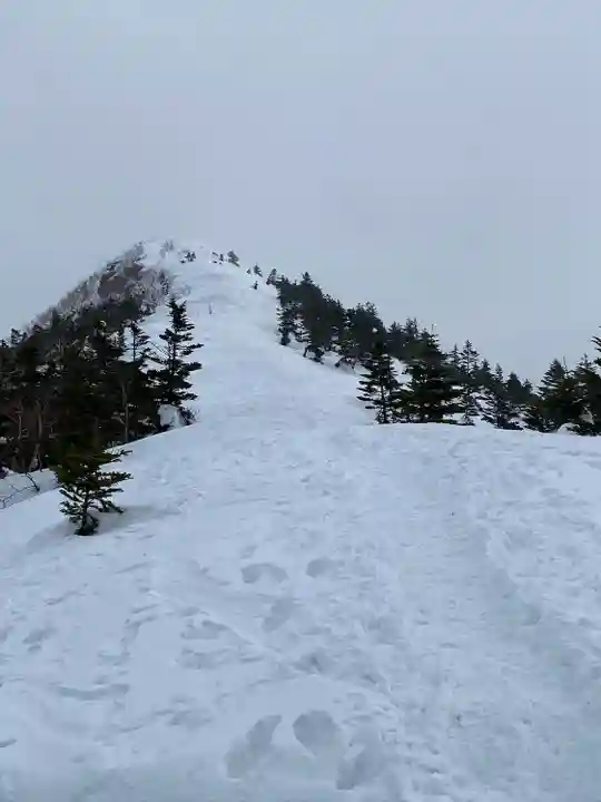 山家神社奥宮の自然