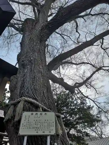 豊平神社の自然