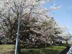 江守神社の自然