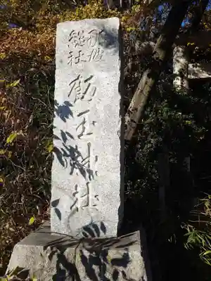 飯玉神社(群馬県)