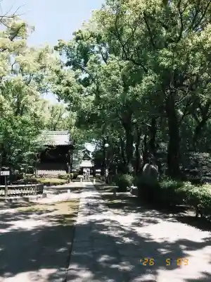聖福寺の{uncategorized: "未分類", other: "その他", undefined: "問題あり", building: "その他建物", grave: "お墓", sacred_gate: "鳥居", guardian: "狛犬", statue: "像", buddha: "仏像", history: "歴史", nature: "自然", garden: "庭園", animal: "動物", pagoda: "塔", temizu: "手水舎", mountain_gate: "山門・神門", sanctuary: "本殿・本堂", subordinate: "末社・摂社", art: "芸術", scenery: "景色", jizo: "地蔵", ema: "絵馬", goshuin: "御朱印", omikuji: "おみくじ", items: "授与品その他", amulet: "お守り", goshuincho: "御朱印帳", eats: "食事", festival: "お祭り", votive_dance: "神楽", shichigosan: "七五三参", wedding: "結婚式", experience: "体験その他", initially: "初詣", around: "周辺", anti_infection: "感染症対策"}