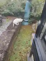 寺岡山元三大師の動物