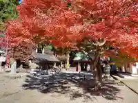 赤門の寺 法蔵寺(栃木県)
