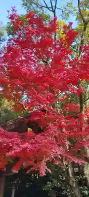 熱田神宮(愛知県)