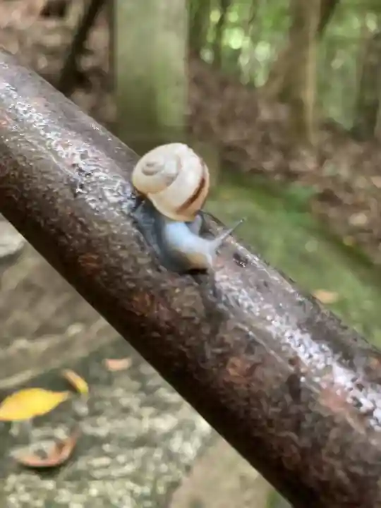 星田妙見宮(大阪府)