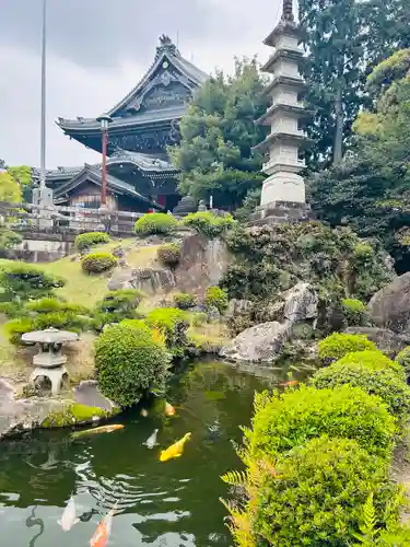 豊川閣　妙厳寺の庭園