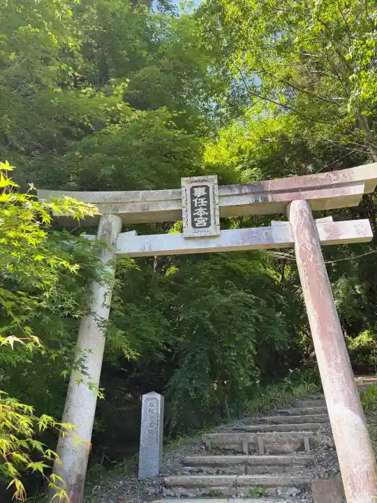 事任八幡宮の{uncategorized: "未分類", other: "その他", undefined: "問題あり", building: "その他建物", grave: "お墓", sacred_gate: "鳥居", guardian: "狛犬", statue: "像", buddha: "仏像", history: "歴史", nature: "自然", garden: "庭園", animal: "動物", pagoda: "塔", temizu: "手水舎", mountain_gate: "山門・神門", sanctuary: "本殿・本堂", subordinate: "末社・摂社", art: "芸術", scenery: "景色", jizo: "地蔵", ema: "絵馬", goshuin: "御朱印", omikuji: "おみくじ", items: "授与品その他", amulet: "お守り", goshuincho: "御朱印帳", eats: "食事", festival: "お祭り", votive_dance: "神楽", shichigosan: "七五三参", wedding: "結婚式", experience: "体験その他", initially: "初詣", around: "周辺", anti_infection: "感染症対策"}