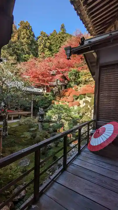 柳谷観音 楊谷寺(京都府)