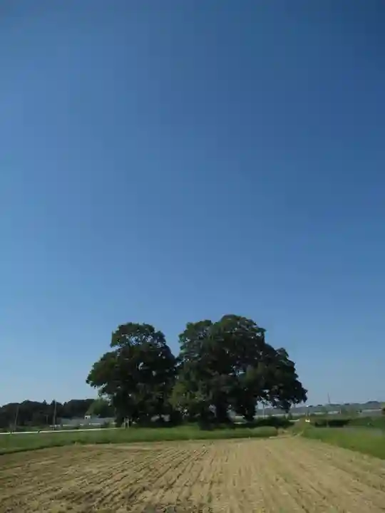 神明神社(千葉県)
