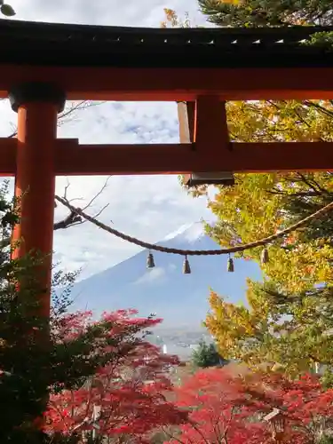 新倉富士浅間神社の鳥居