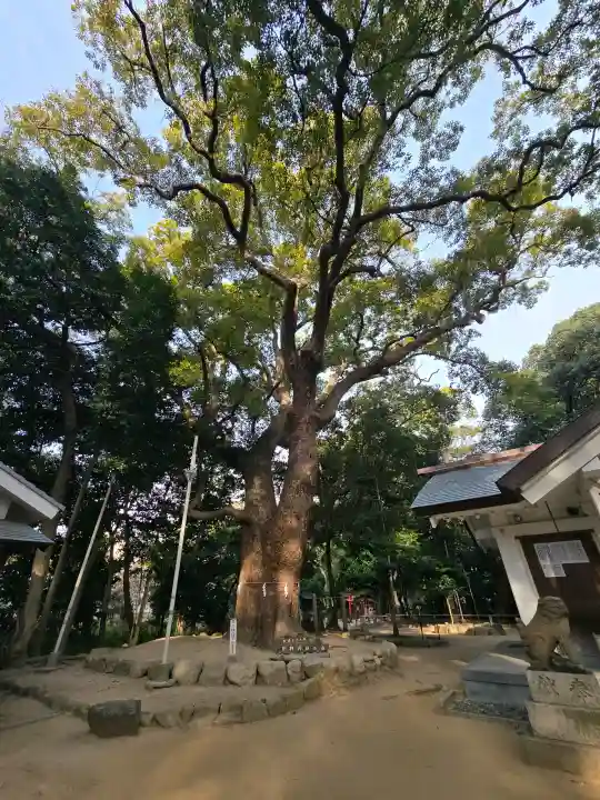 日野神社の{uncategorized: "未分類", other: "その他", undefined: "問題あり", building: "その他建物", grave: "お墓", sacred_gate: "鳥居", guardian: "狛犬", statue: "像", buddha: "仏像", history: "歴史", nature: "自然", garden: "庭園", animal: "動物", pagoda: "塔", temizu: "手水舎", mountain_gate: "山門・神門", sanctuary: "本殿・本堂", subordinate: "末社・摂社", art: "芸術", scenery: "景色", jizo: "地蔵", ema: "絵馬", goshuin: "御朱印", omikuji: "おみくじ", items: "授与品その他", amulet: "お守り", goshuincho: "御朱印帳", eats: "食事", festival: "お祭り", votive_dance: "神楽", shichigosan: "七五三参", wedding: "結婚式", experience: "体験その他", initially: "初詣", around: "周辺", anti_infection: "感染症対策"}