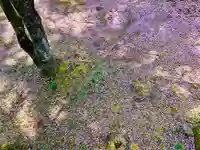 土津神社|こどもと出世の神さまの自然