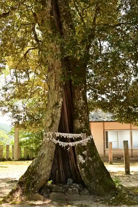 廣瀬神社(愛媛県)