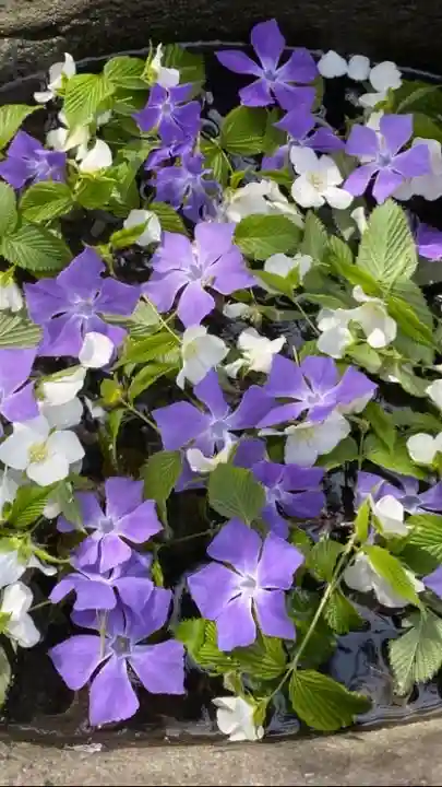 岡部春日神社~👹鬼門よけの🌺花咲く🌺やしろ~(福島県)