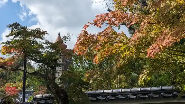 妙満寺(京都府)