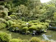 等持院の庭園