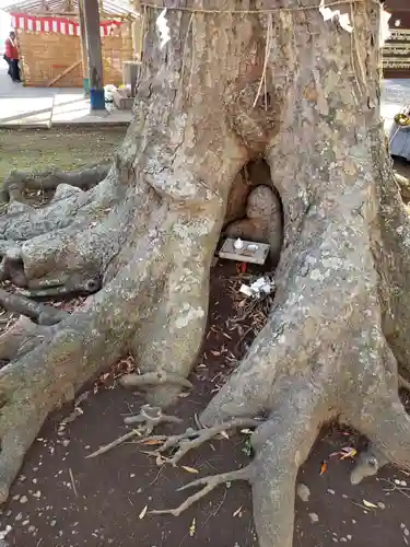 一言主神社のその他建物